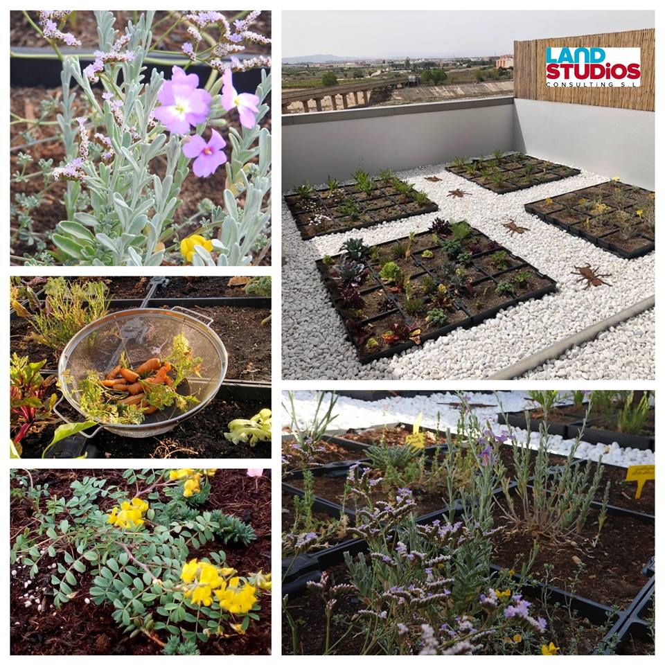 Jardines Verticales | Cubierta Vegetal | Land Studios