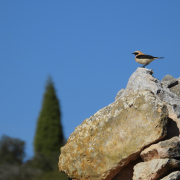 Inventarios - Land Studios